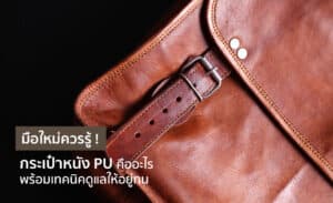 หนัง pu