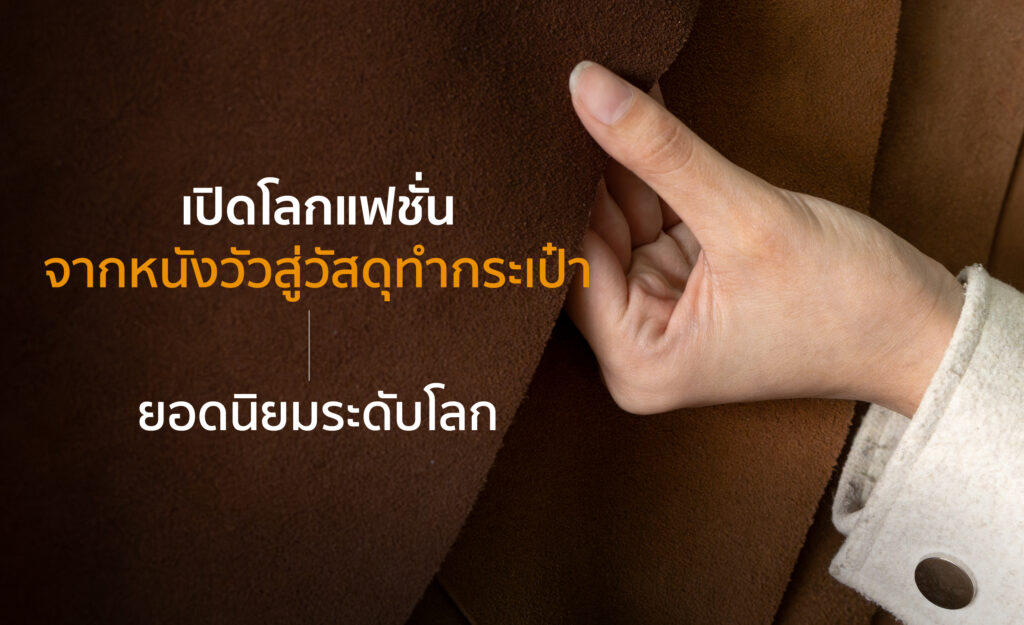 หนังวัว